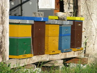 Slovenian beehives0002.jpg
